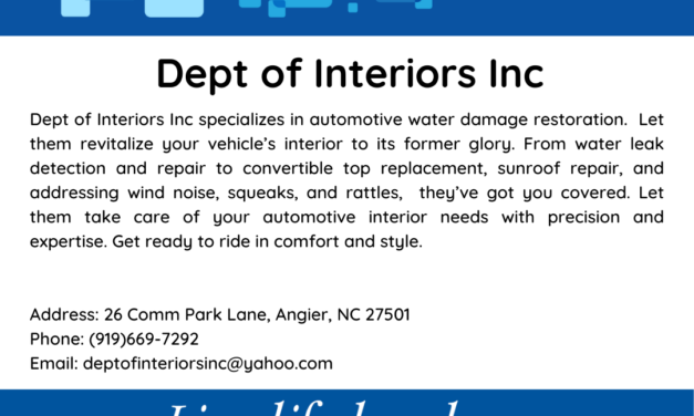 Welcome to the Chamber, Dept of Interiors Inc.